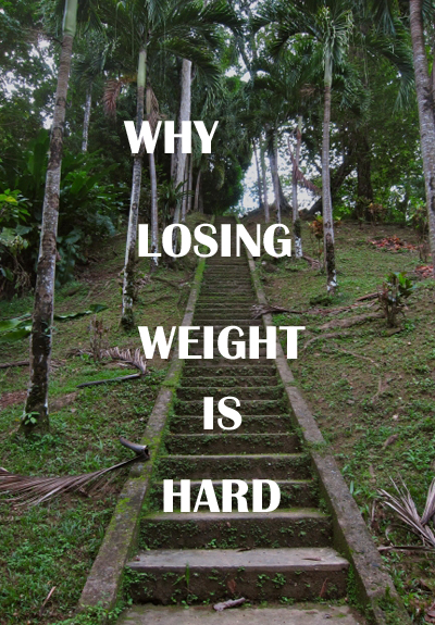 Why Is Losing Weight So Hard?