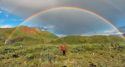 A Two-Minute Bliss Break | savorthebook.com