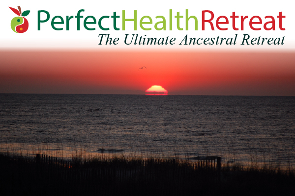 Ole Morten Grodås on the Perfect Health Retreat – Perfect Health Diet