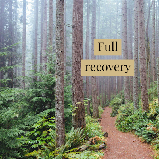 Notes on Full Recovery [Podcast]