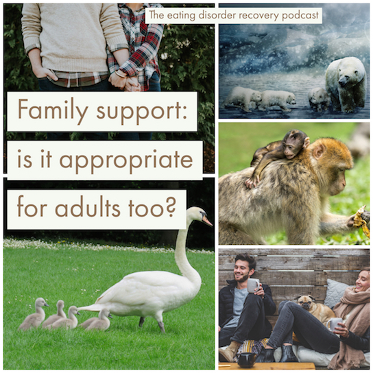 Family support: is it appropriate for adults too? [Podcast]