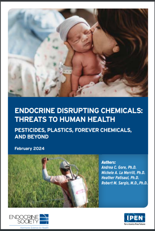 Weekend reading: Endocrine-Disrupting Chemicals (EDCs)