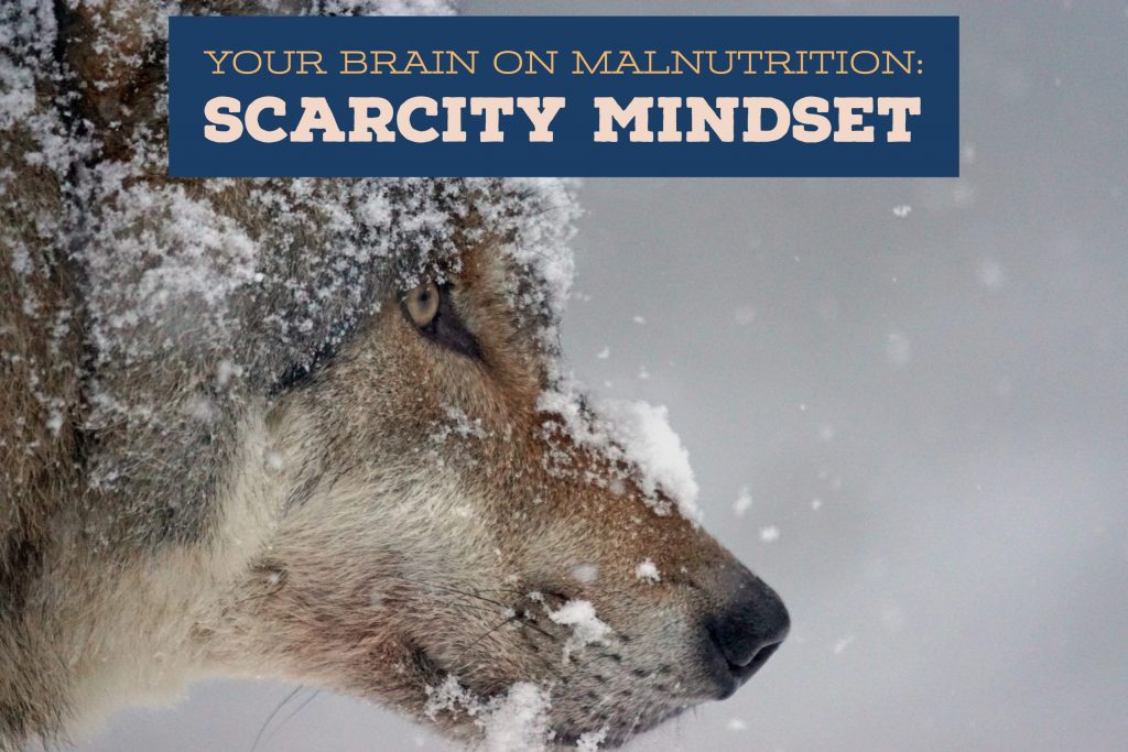 Your Brain on Malnutrition: Scarcity Mindset