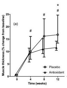 Are Bigger Muscles Better? Antioxidants and the Response to Exercise – Perfect Health Diet