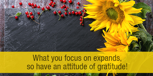 Have an Attitude of Gratitude