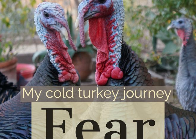 My cold turkey journey: Fear