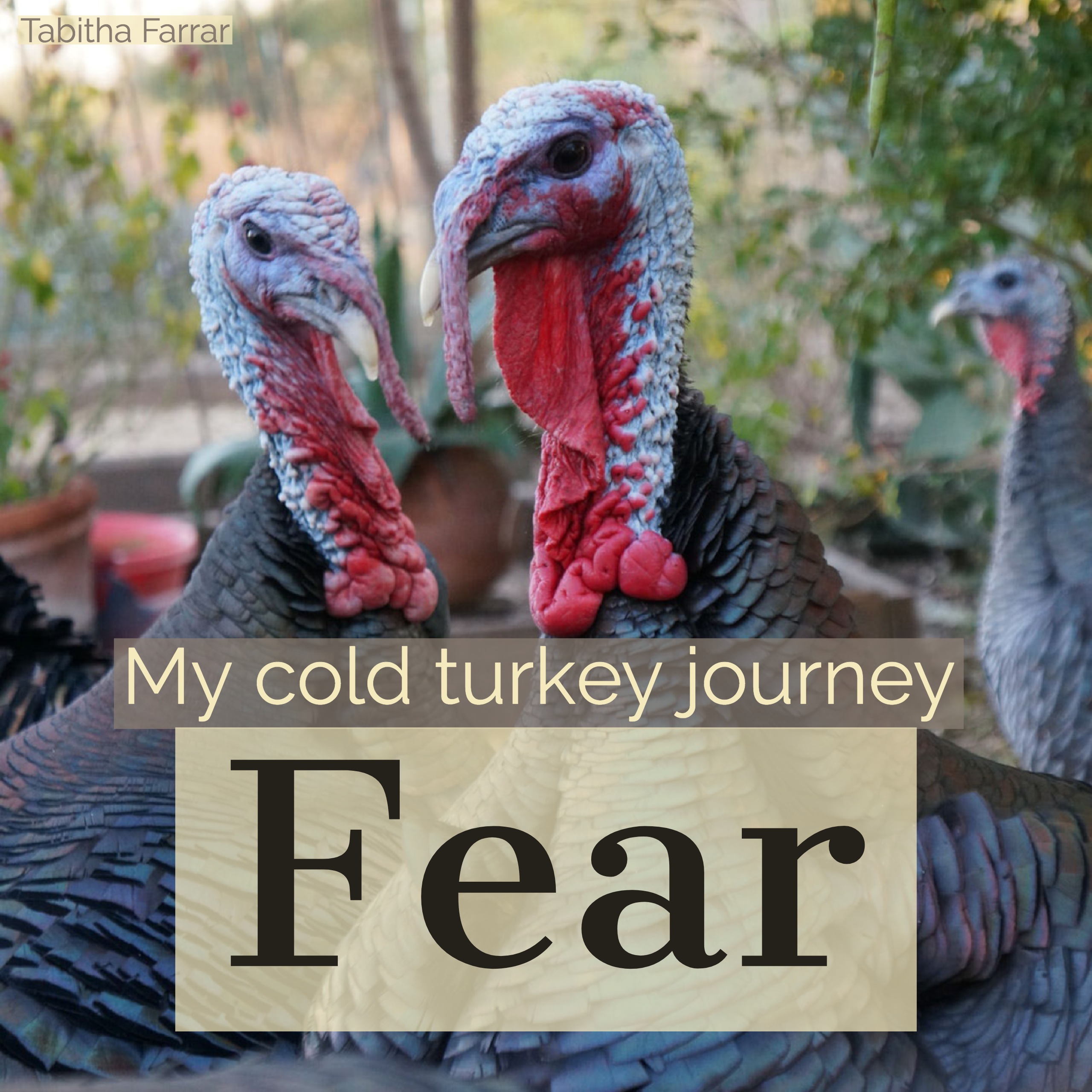 My cold turkey journey: Fear